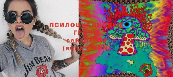 ешки Балахна