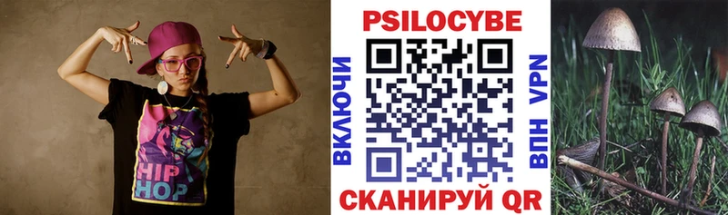 Псилоцибиновые грибы Psilocybe  Корсаков 