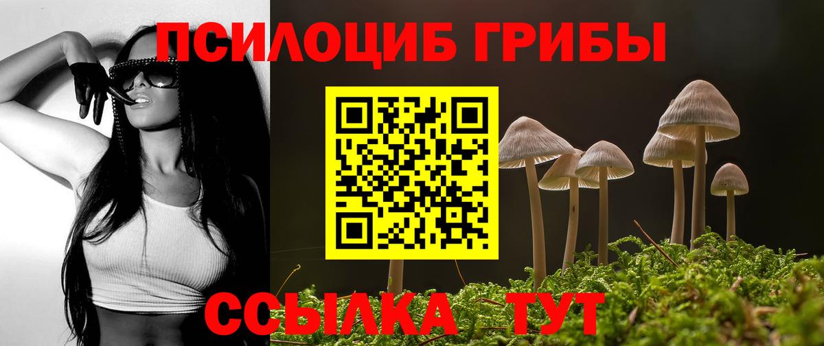 Корсаков  Псилоцибиновые грибы мицелий  Вход с VPN  Псилоцибиновые грибы прущие грибы 